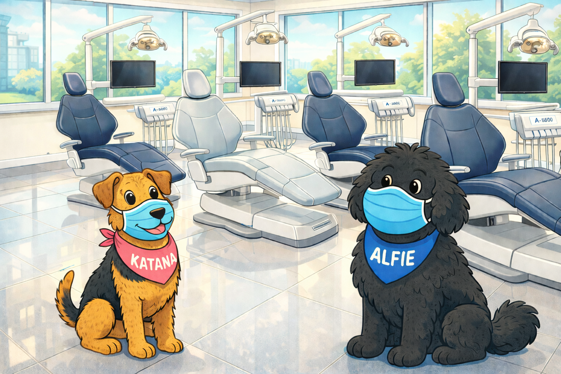 Exciting News - Queensland Dental Services (QDS) appointed as authorised A-dec Dealer